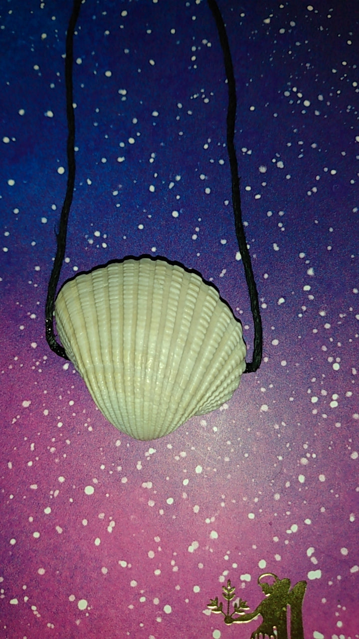 Shell Necklace