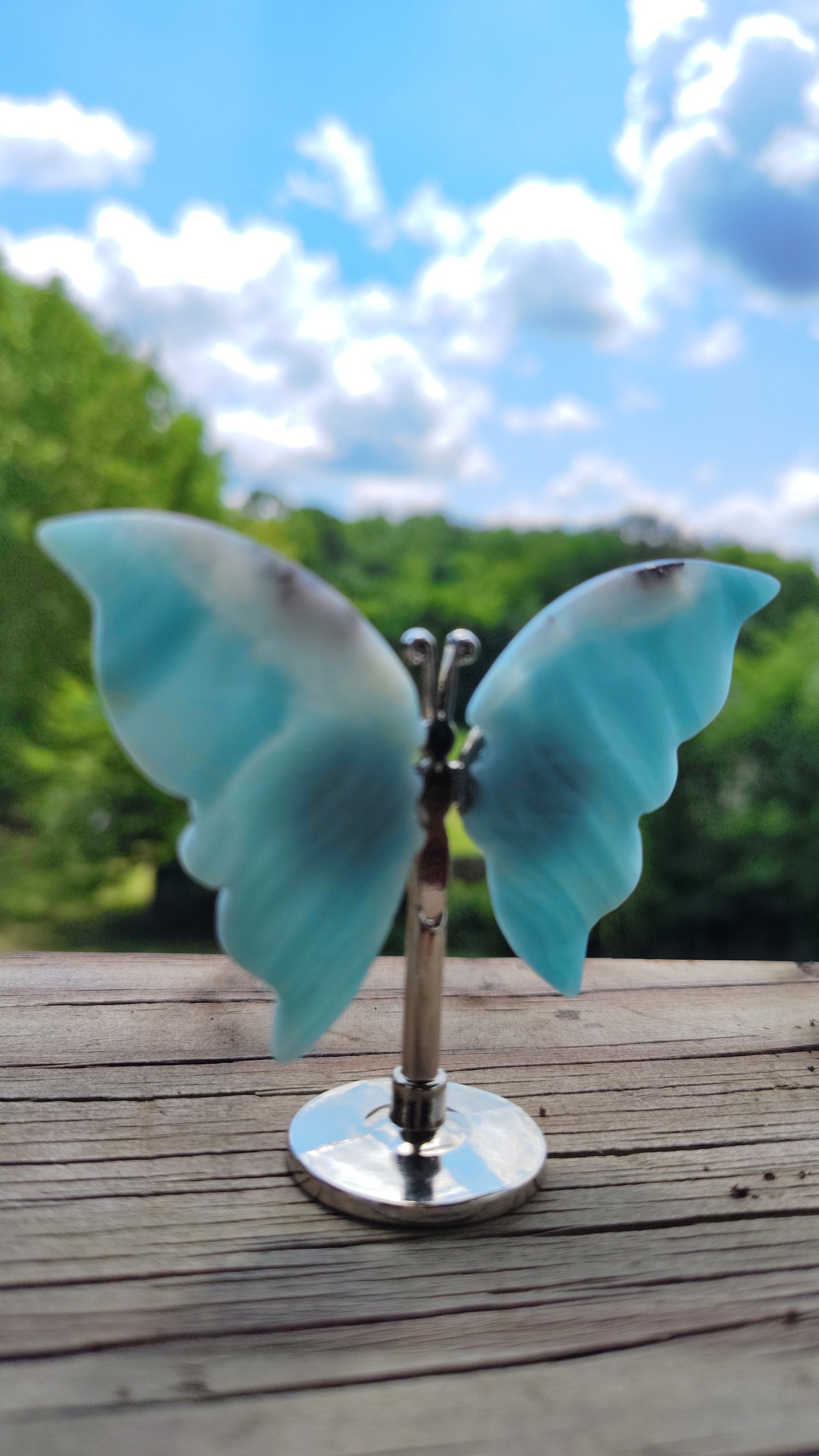 Geode Butterflies