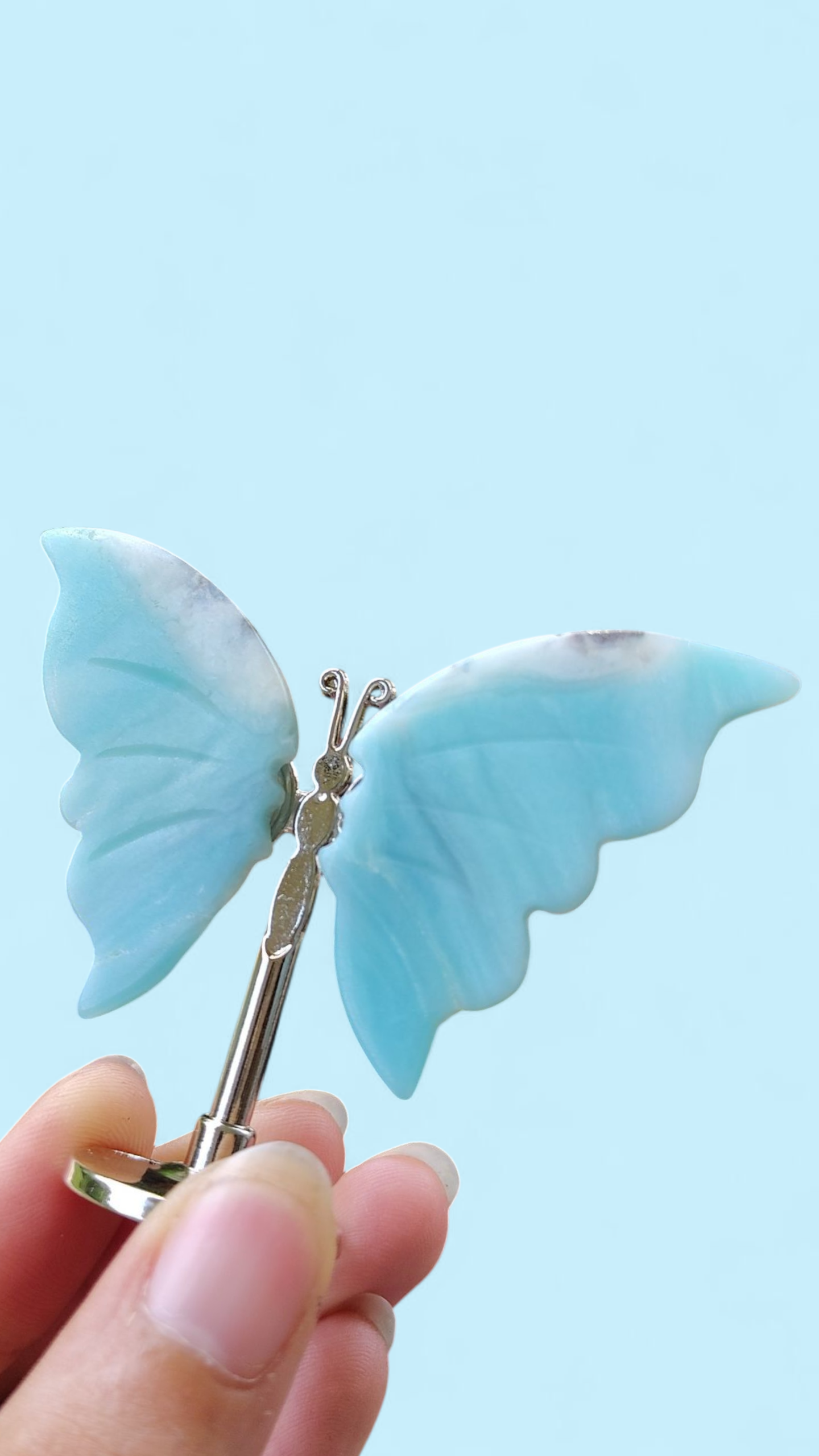 Geode Butterflies