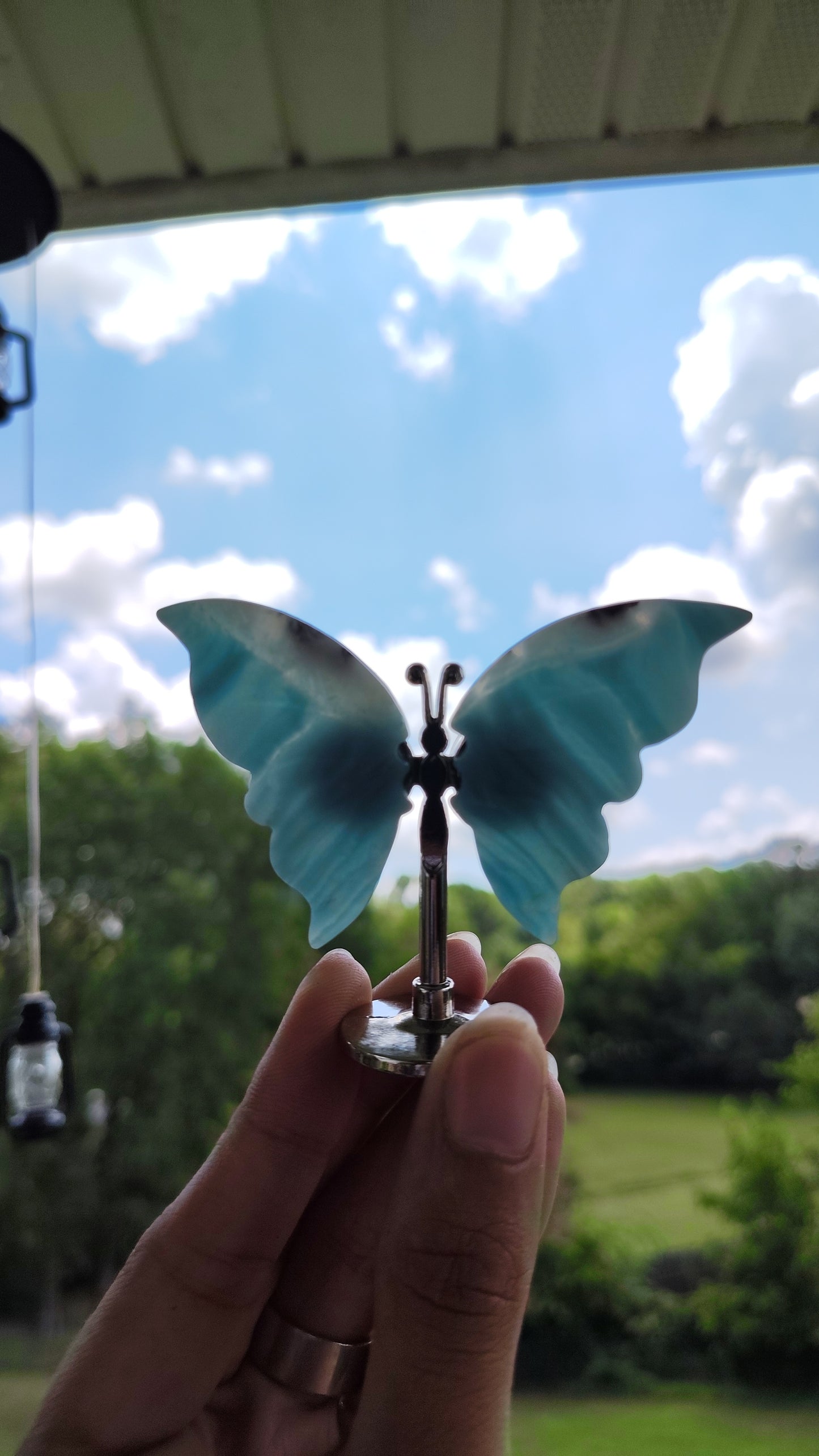Geode Butterflies
