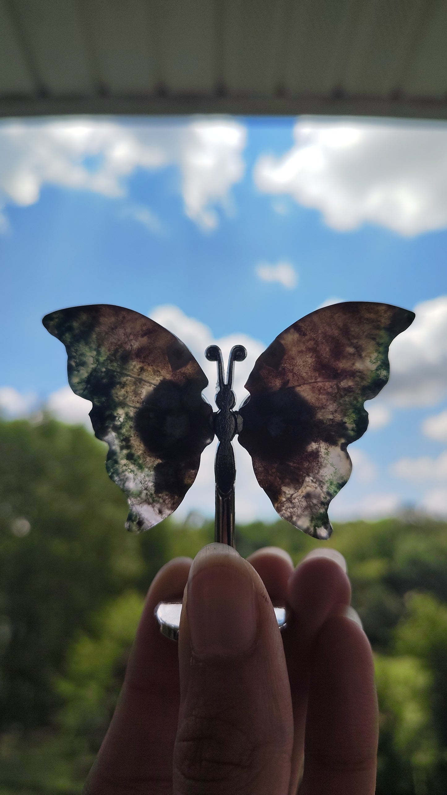Geode Butterflies